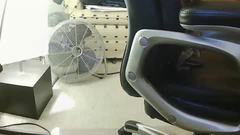 jherm485334 online show from 01/24/25, 10:51