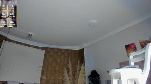 jhonaldsw online show from 01/20/25, 12:18