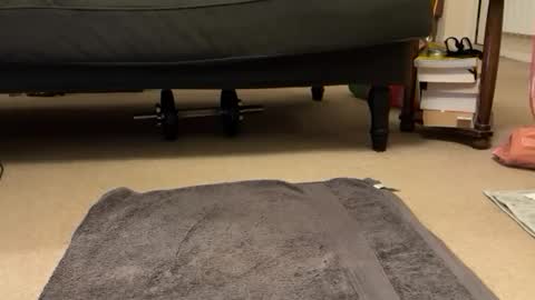 Snapshot of jinker2002 chatting on 12/16/24, 05:22 jinker2002 online show from 12/16/24, 05:22