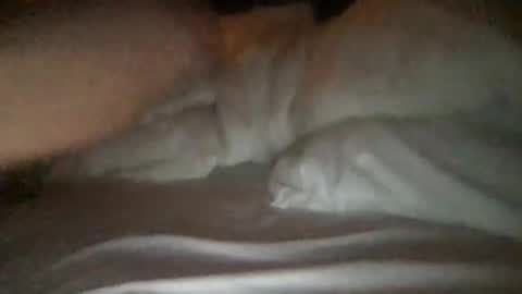 Snapshot of jjj456_456 chatting on 01/10/26, 01:46 agoodtime 920 online show from 01/10/26, 01:46