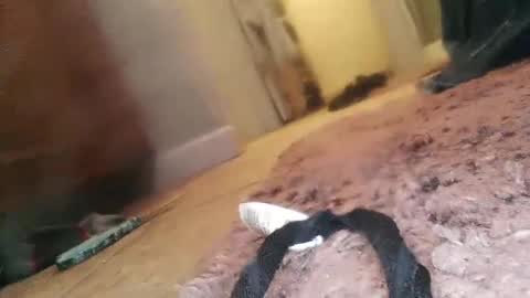 Jimmy online show from 02/23/25, 01:57