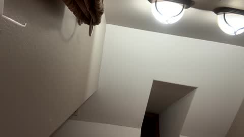 Jimmy online show from 11/24/25, 04:01