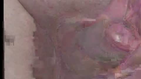 JLP1158 online show from 07/13/26, 04:32