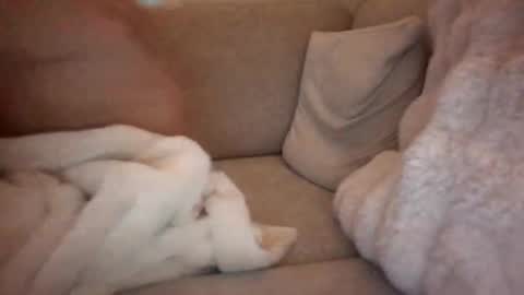 Snapshot of joeybanan chatting on 12/14/25, 08:09 joeybanan online show from 12/14/25, 08:09