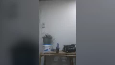 joeynepton45 online show from 06/23/26, 08:29