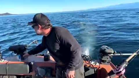 johnandmarie_ online show from 10/05/25, 11:13