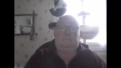 Snapshot of jojo60000529566 chatting on 12/07/24, 02:13 jojo60000529566 online show from 12/07/24, 02:13