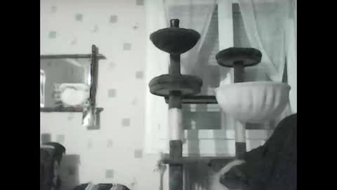 Snapshot of jojo60000529566 chatting on 01/08/25, 07:13 jojo60000529566 online show from 01/08/25, 07:13