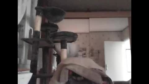 Snapshot of jojo60000529566 chatting on 03/04/25, 03:15 jojo60000529566 online show from 03/04/25, 03:15