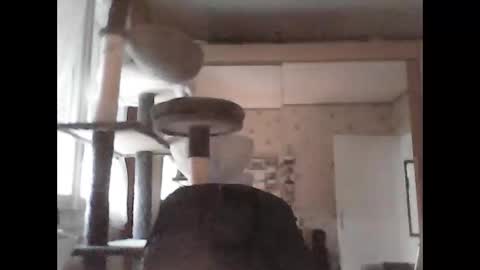 Snapshot of jojo60000529566 chatting on 09/29/25, 05:07 jojo60000529566 online show from 09/29/25, 05:07