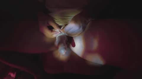 Snapshot of jonahshyfap chatting on 01/09/25, 02:22 jonahshyfap online show from 01/09/25, 02:22