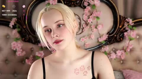 Snapshot of jonnienita chatting on 04/17/26, 11:13 Alice online show from 04/17/26, 11:13