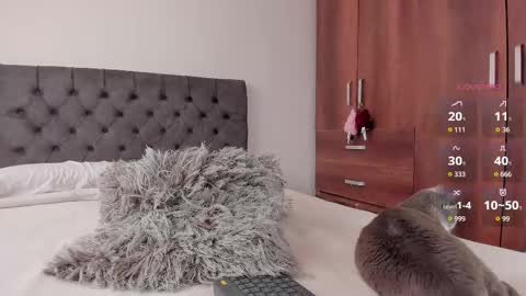 Will online show from 10/20/25, 08:42