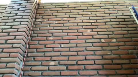 JorgeMAXX online show from 02/09/25, 08:34