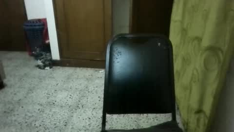 jose_delicious online show from 09/17/25, 02:46