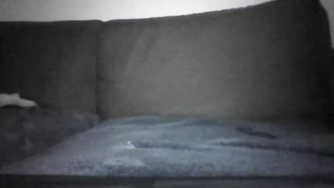 Hentai Jo online show from 12/12/24, 07:15