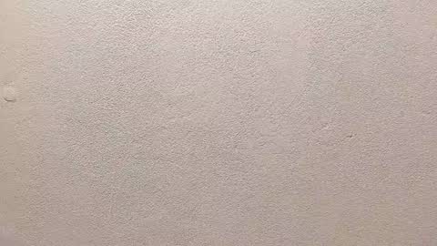 Snapshot of joseph_palacios chatting on 09/13/25, 06:51 joseph palacios online show from 09/13/25, 06:51