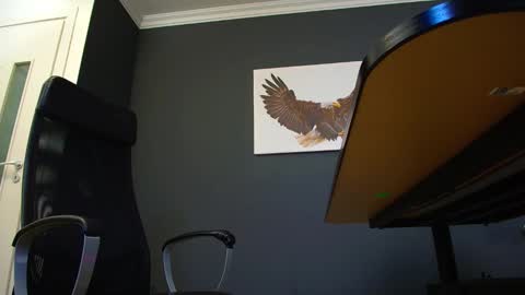JoshKnight online show from 03/04/25, 08:13