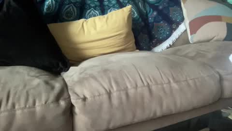 joshperrygoon online show from 12/21/24, 03:42