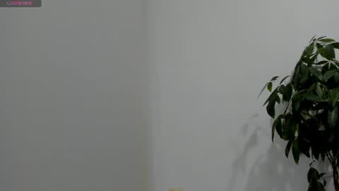 sofiaparker8 online show from 07/26/26, 11:33