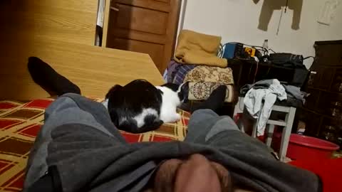 joyboy465468 online show from 10/26/25, 04:02