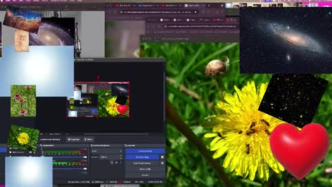 Snapshot of jpsunflower chatting on 10/13/25, 09:09 JP Sunflower Angel Love online show from 10/13/25, 09:09