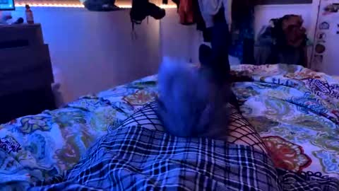 Snapshot of jrod11229 chatting on 10/27/25, 02:15 jrod11229 online show from 10/27/25, 02:15