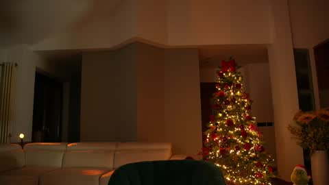 Snapshot of jseductiveart chatting on 12/13/24, 08:37 Jennifer Diaz online show from 12/13/24, 08:37