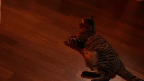 Snapshot of jseductiveart chatting on 02/03/25, 11:15 Jennifer Diaz online show from 02/03/25, 11:15