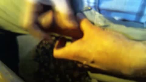 Snapshot of jt335577 chatting on 01/27/25, 07:46 jt335577 online show from 01/27/25, 07:46