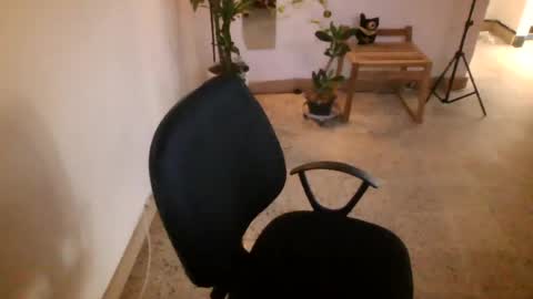 juan235665 online show from 07/09/26, 10:03