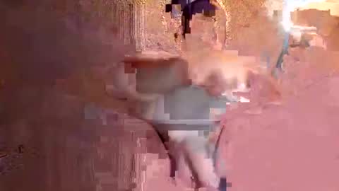 Snapshot of juan575390 chatting on 12/17/24, 01:07 juan575390 online show from 12/17/24, 01:07