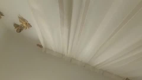 JuanmaSEX online show from 11/14/25, 03:27