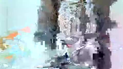 juicyebonitaa online show from 11/04/25, 06:45