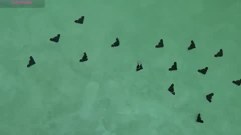 Snapshot of juicyjullia chatting on 11/05/25, 08:47 Julia online show from 11/05/25, 08:47