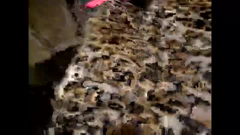 Snapshot of juicyslutx chatting on 11/30/25, 07:07 juicyslutx online show from 11/30/25, 07:07