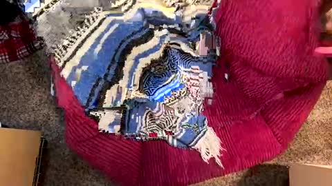 Snapshot of juish5521 chatting on 12/29/24, 03:03 Juish5521 online show from 12/29/24, 03:03