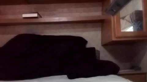 Snapshot of juish5521 chatting on 03/03/25, 12:26 Juish5521 online show from 03/03/25, 12:26