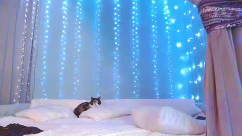 Snapshot of julia_renard chatting on 11/29/25, 07:22 Julia online show from 11/29/25, 07:22