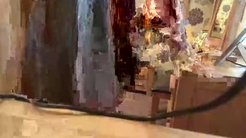 brian online show from 11/06/25, 01:56