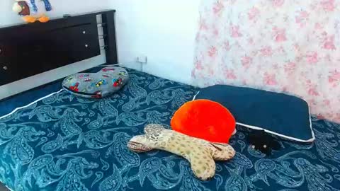 julieta art1 online show from 01/13/25, 11:49