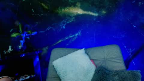    online show from 06/26/26, 08:08