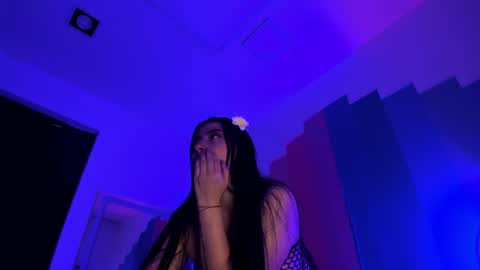   online show from 07/13/26, 07:49