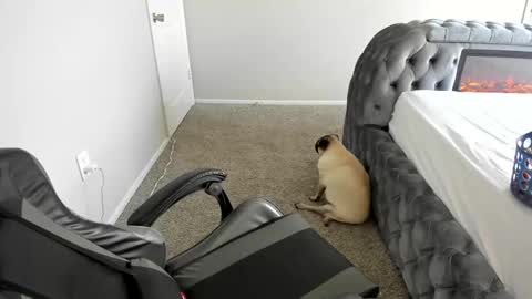 july online show from 09/16/25, 06:42