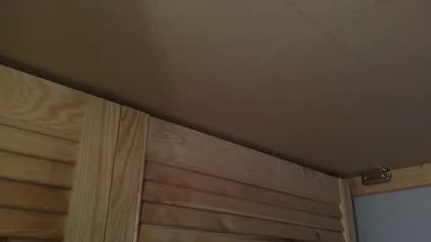 Snapshot of junction1000 chatting on 10/07/25, 07:27 Gregor online show from 10/07/25, 07:27