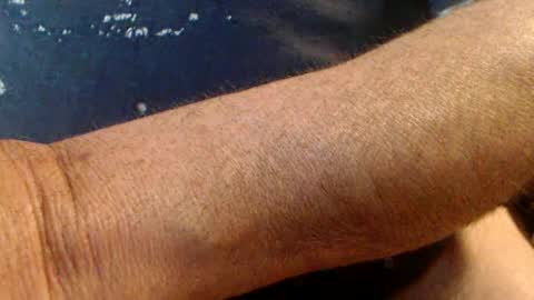 Werner online show from 02/16/25, 04:53