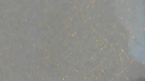 Snapshot of junosomnum chatting on 03/01/25, 01:53 junosomnum online show from 03/01/25, 01:53