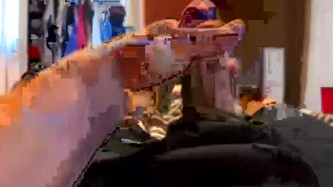 jussumwun online show from 01/01/25, 03:03