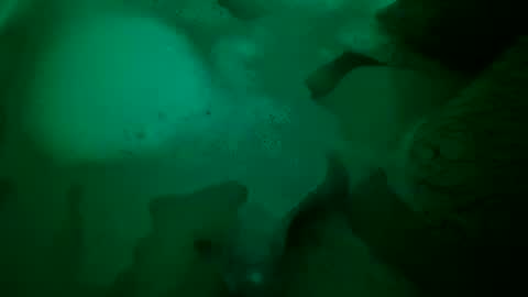 Yuri online show from 12/22/24, 06:48