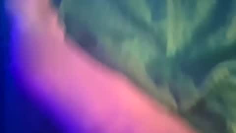 Yuri online show from 03/08/25, 12:11